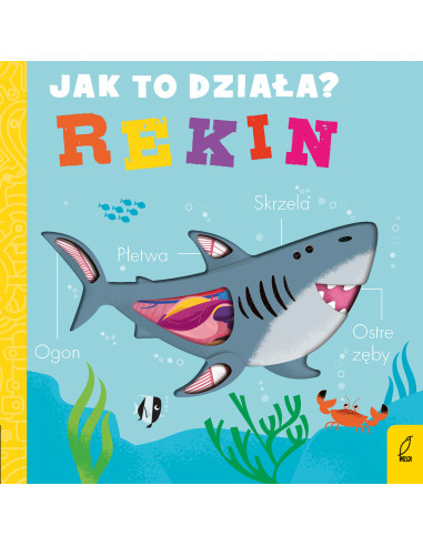 Jak to działa Rekin