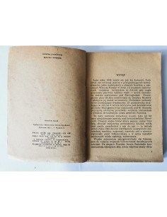 Jegorow - Misja generała Bethouart 2