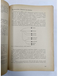 Zoologia Podręcznik dla Wyższych Szkół Rolniczych 2