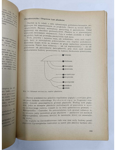 Zoologia Podręcznik dla Wyższych Szkół Rolniczych