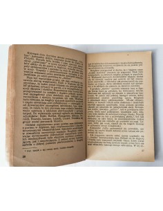 Woytt - Dywizjon żab Tygrys 2