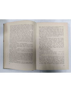 Kraszewski - Historia prawdziwa o Petrku Właście 2