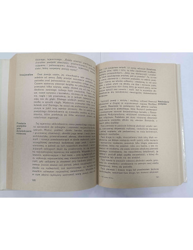 Hutnikiewicz - Od czystej formy do literatury...