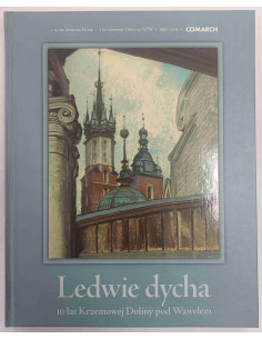 Ledwie dycha 10 lat Krzemowej Doliny pod Wawelem