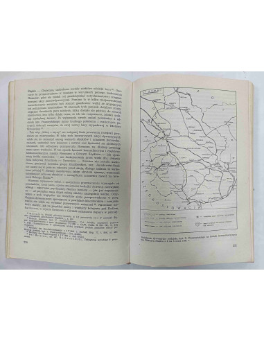 Ryżewski - Trzecie Powstanie Śląskie 1921...
