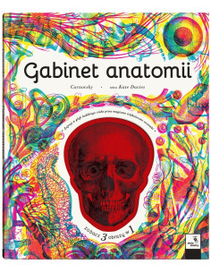 Gabinet anatomii
