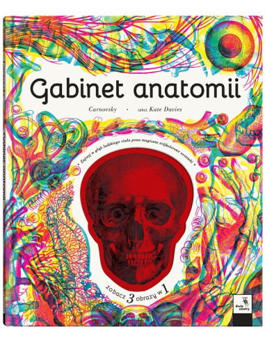 Gabinet anatomii