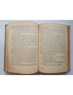 Kraszewski - Dzieje Polski Waligóra 2