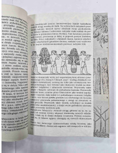 Thorwald - Dawna medycyna jej tajemnice i potęga 2