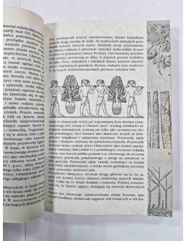 Thorwald - Dawna medycyna jej tajemnice i potęga