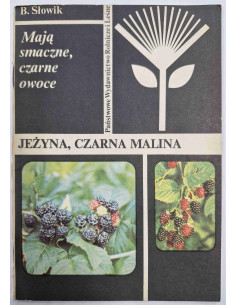 Słowik - Jeżyna Czarna malina