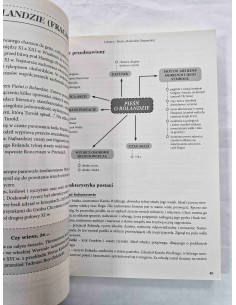 Opracowania lektur szkolnych dla liceum i technikum 2