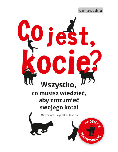 Co jest kocie? Wszystko co musisz wiedzieć aby...