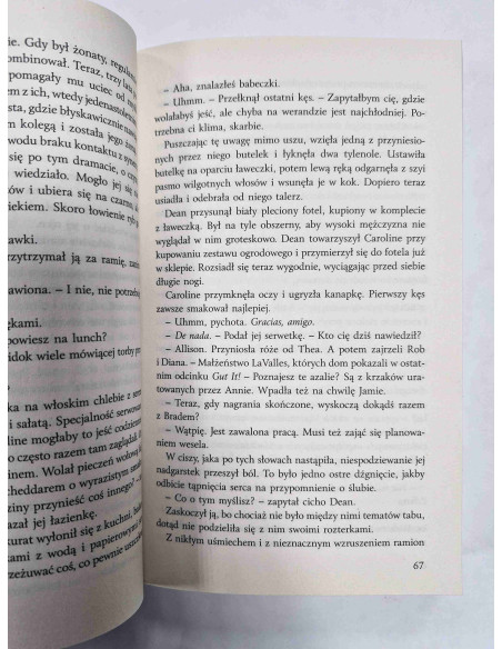 Delinsky - Projekt marzeń