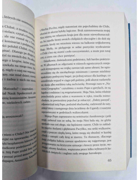 Allende - Dziennik Mai