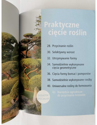 Beltz - Dekoracyjne cięcie krzewów