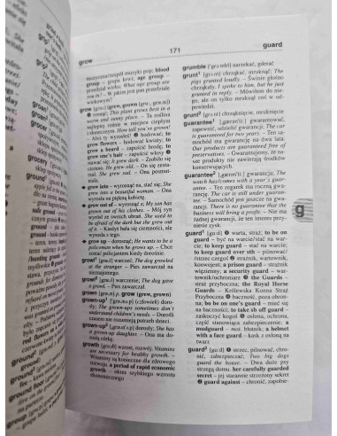 Podręczny słownik angielsko-polski...