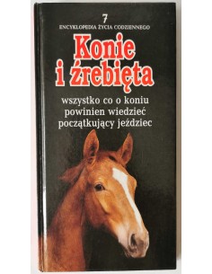 Modlińska - Konie i źrebięta