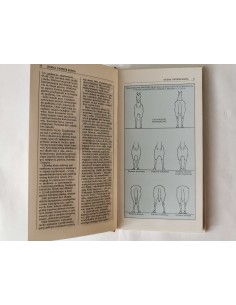 Modlińska - Konie i źrebięta 2