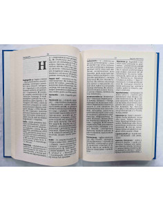 Popularny słownik terminów literackich i gramatycznych 2