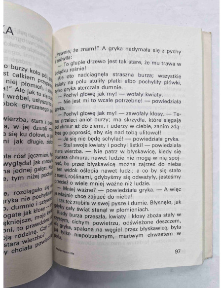 Andersen - Najpiękniejsza róża świata Wybór baśni