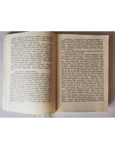 Kraszewski - U babuni 2