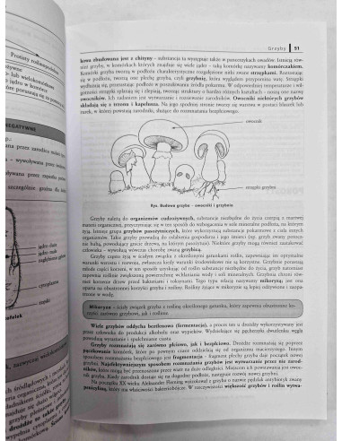 Repetytorium gimnazjalisty Biologia Klasa 1 2 3
