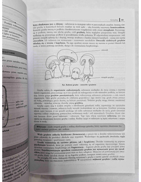 Repetytorium gimnazjalisty Biologia Klasa 1 2 3