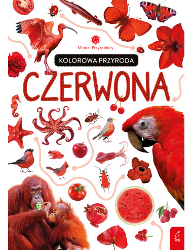 Kolorowa przyroda Czerwona Młodzi przyrodnicy