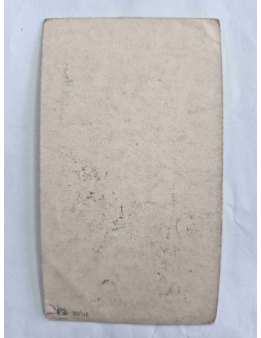 Obrazek święty Maryja z wężem pod stopą