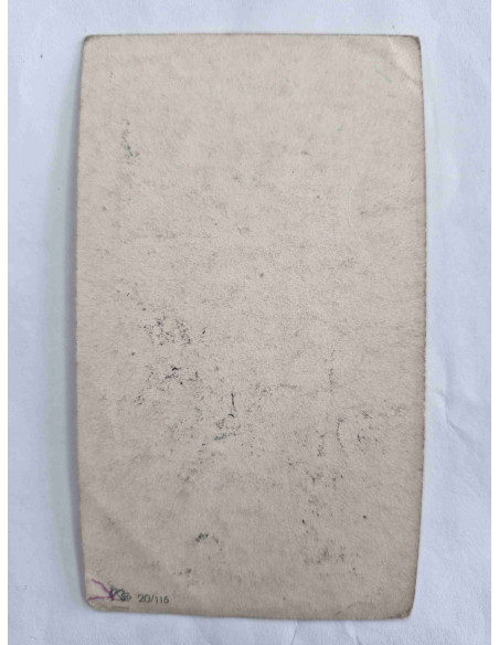 Obrazek święty Maryja z wężem pod stopą