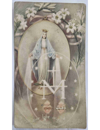 Obrazek święty Regina sine labe originali concepta