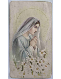 Obrazek święty Maryja wśród kwiatów