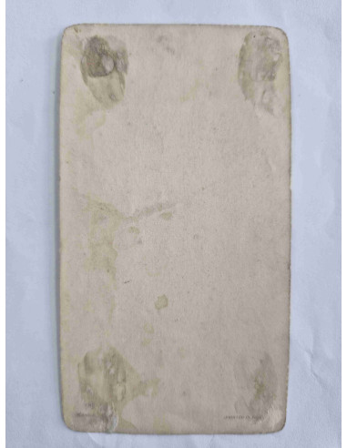 Obrazek święty Maryja wśród kwiatów