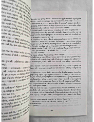 Konopnicka - Nowele i opowiadania Lektury...