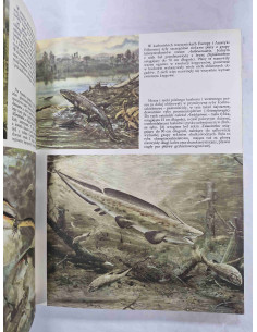 Zanim pojawił się człowiek 2