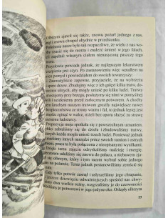 Przygody Sindbada Żeglarza i inne baśnie 2