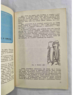 Skrzypek - Stomatolog radzi 2