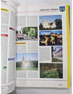 Wawrzyńczyk - Leksykon powiatów Polski 2