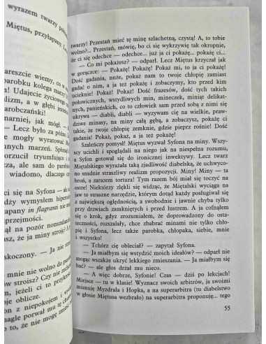 Gombrowicz - Ferdydurke