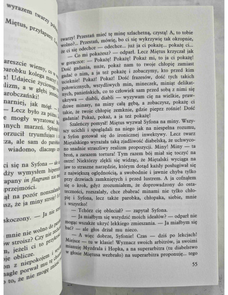 Gombrowicz - Ferdydurke