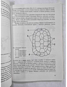 Żółwie moje hobby 2