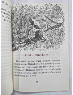Kędziorzyna - Wędrówki Szyszkowego Dziadka 2