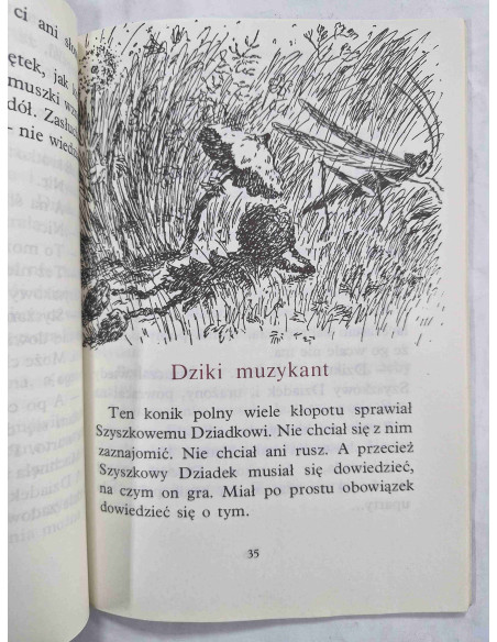 Kędziorzyna - Wędrówki Szyszkowego Dziadka