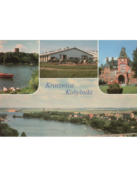 Pocztówka Kruszwica Kobylniki