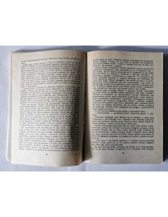 Flaubert - Pani Bovary 2