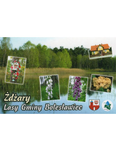 Pocztówka Lasy Gminy Bolesławiec Żdżary