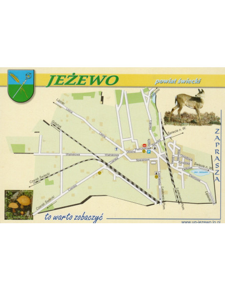 Pocztówka Gmina Jeżewo