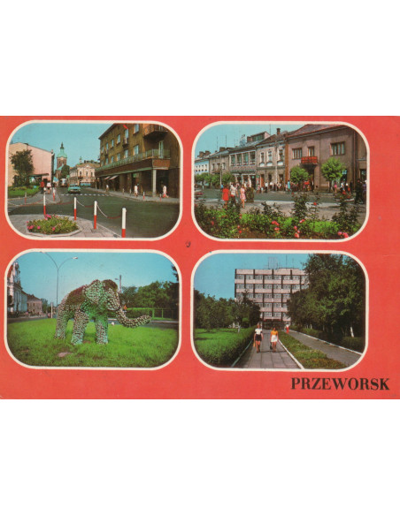 Pocztówka Przeworsk miasto