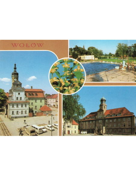 Pocztówka Wołów miasto